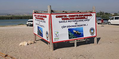 Manavgat Belediyesi caretta yuvalarında tedbiri arttırdı