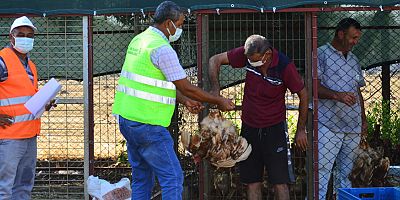 Manavgat Belediyesi'nden Bağış Hayvan Barındırma Merkezi