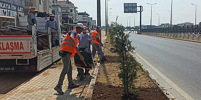 Manavgat Belediyesi'nden doğa dostu refüj düzenlemesi ve sulama projesi