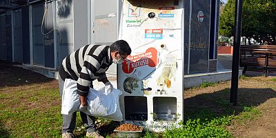 Manavgat Belediyesi sokak hayvanlarını unutmuyor