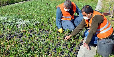 Manavgat Belediyesi üreterek tasarruf ediyor