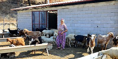 Manavgat Belediyesi ve Gönüllüler ahır çalışmalarını sürdürüyor