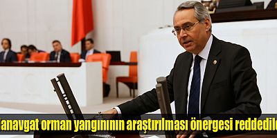 Manavgat orman yangınının araştırılması önergesi reddedildi
