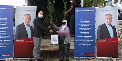 Manavgat’ta defne fidanı yardımı yapıldı