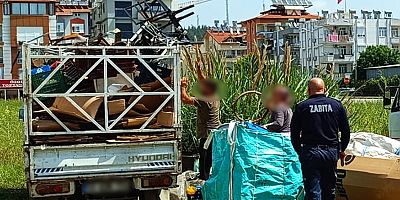 Manavgat'ta huzur ve güvenlik için zabıta ekipleri sahada