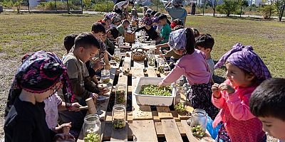 Manavgat'ta minik eller zeytin hasadında