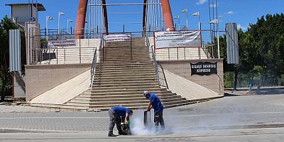 Manavgat’ta sivrisinek timi görev başında