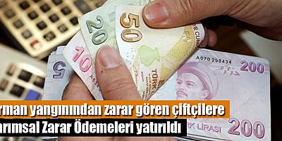 Manavgat ve çevre ilçeler yangınının Tarımsal Zarar Ödemeleri yatırıldı