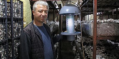 Mantar üreticilerine ışıklı tuzak desteği