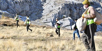 Meralar tohumla zenginleştiriliyor