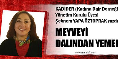 MEYVEYİ DALINDAN YEMEK