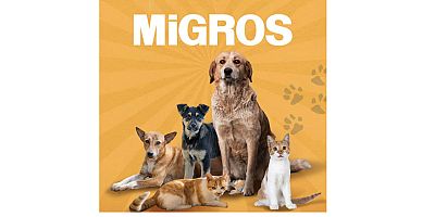 Migros, sokak hayvanları için 4,423 ton gıda bağışladı