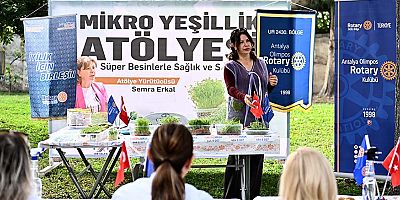 Mikro yeşilliklerle minyatür bahçeler oluşturdular