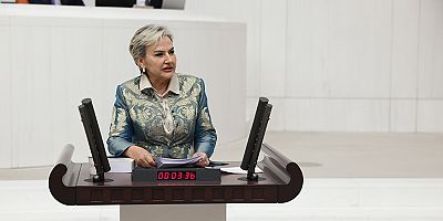 Milletvekili Nimet Özdemir, Özel Hastanelerde Rıza Dışı Müdahale İddiaları İle İlgili Soru Önergesi