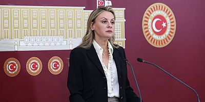 Milletvekili Ösen'den 1 yıllık faaliyet raporu