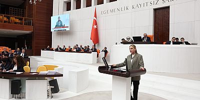 Milletvekili Ösen'den Tarım ve Orman Bakanı'na çağrı