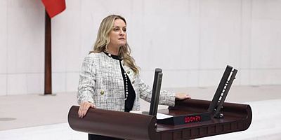 Milletvekili Ösen, İzmir'de yaşanan elektrik faciasını Bayraktar'a sordu