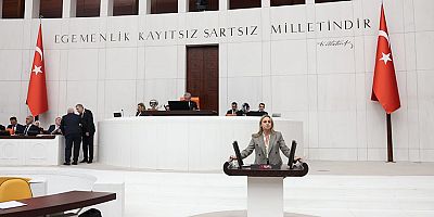 Milletvekili Ösen: Turizmcinin hak ettiği paydan kesintiler yapmaya devam ediyorsunuz