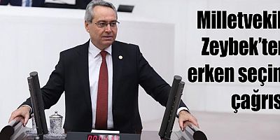 Milletvekili Zeybek’ten erken seçim çağrısı