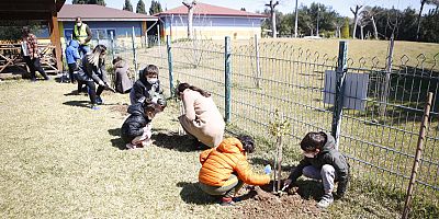Minik eller fidanları toprakla buluşturdu