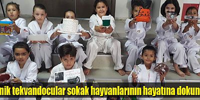 Minik tekvandocular sokak hayvanlarının hayatına dokundu