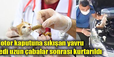 Motor kaputuna sıkışan yavru kedi uzun çabalar sonrası kurtarıldı
