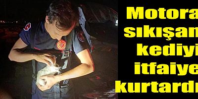 Motora sıkışan kediyi itfaiye kurtardı