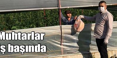 Muhtarlar iş başında