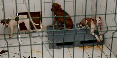 Muratpaşa Belediyesi'nden kamuoyuna açıklama