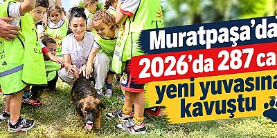 Muratpaşa’da 2026’da 287 can yeni yuvasına kavuştu