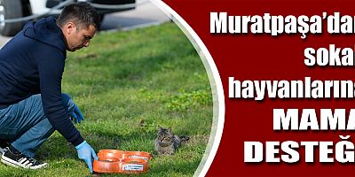 Muratpaşa’dan sokak hayvanlarına mama desteği