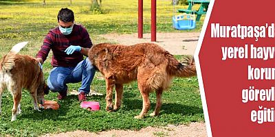 Muratpaşa’dan yerel hayvan koruma görevlisi eğitimi
