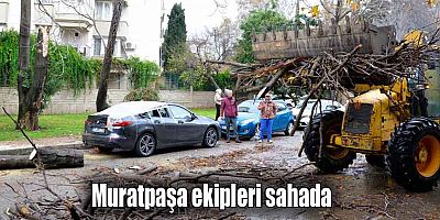 Muratpaşa ekipleri sahada