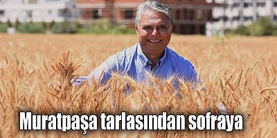 Muratpaşa tarlasından sofraya