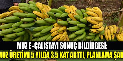 Muz e-Çalıştayı sonuç bildirgesi