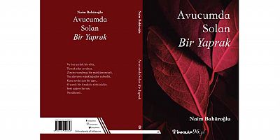 Naim Babüroğlu'nun ilk şiir kitabı 