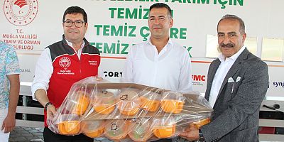 Narenciye sektöründe ihracat hedefi 1 milyar dolar