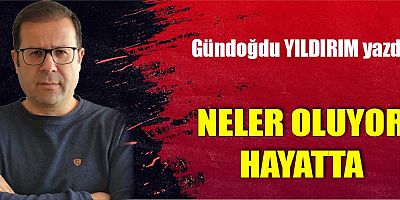 NELER OLUYOR HAYATTA
