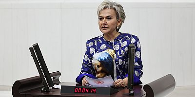 Nimet Özdemir TBMM’ye Yeni Kanun Teklifi Sundu; Ekokırım Suç Sayılacak