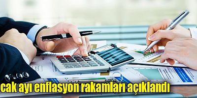 Ocak ayı enflasyon rakamları açıklandı
