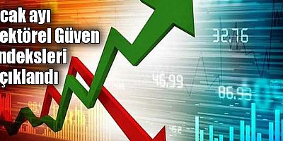 Ocak ayı Sektörel Güven Endeksleri açıklandı