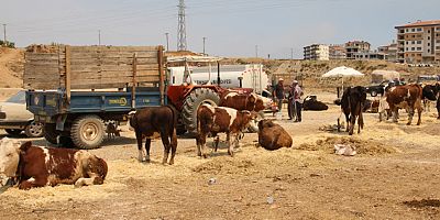 Oda Borsalar'dan Manavgat'a yardım eli