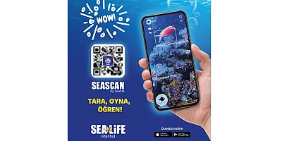 Okyanusların gizemli dünyası parmaklarınızın ucunda