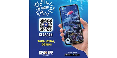 Okyanusların gizemli dünyası parmaklarınızın ucunda