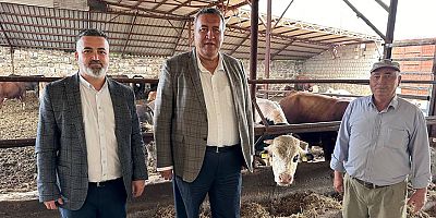 Ömer Fethi Gürer: “Et ve hayvan ithalatı durmuyor, sorunlar bitmiyor”