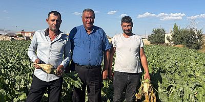 Ömer Fethi Gürer: “Pancar üreticisi fiyat bekliyor, çiftçinin beklentisi en az 4 bin lira”