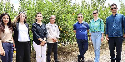 Organik atıklar toprak iyileştirici ürüne dönüştürüldü