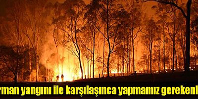 Orman yangını ile karşılaşınca yapmamız gerekenler