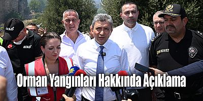 Orman Yangınları Hakkında Açıklama
