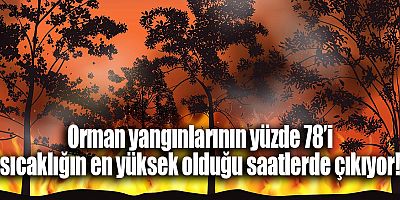 Orman yangınlarının yüzde 78’i sıcaklığın en yüksek olduğu saatlerde çıkıyor!